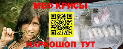 герыч Кингисепп