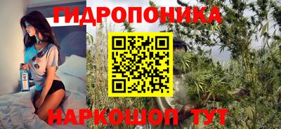 стаф Кимры