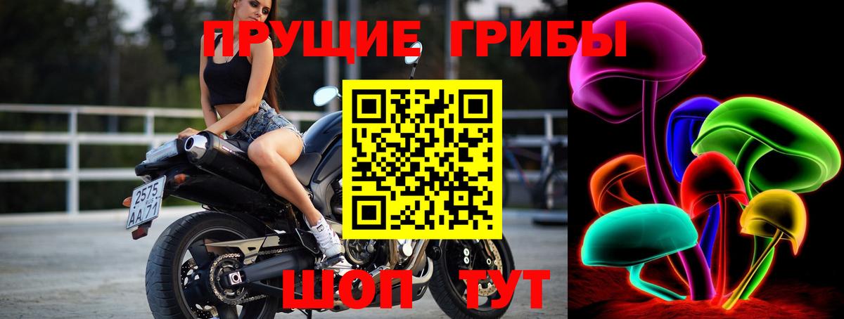 Котельники  Галлюциногенные грибы MAGIC MUSHROOMS  Вход с VPN 